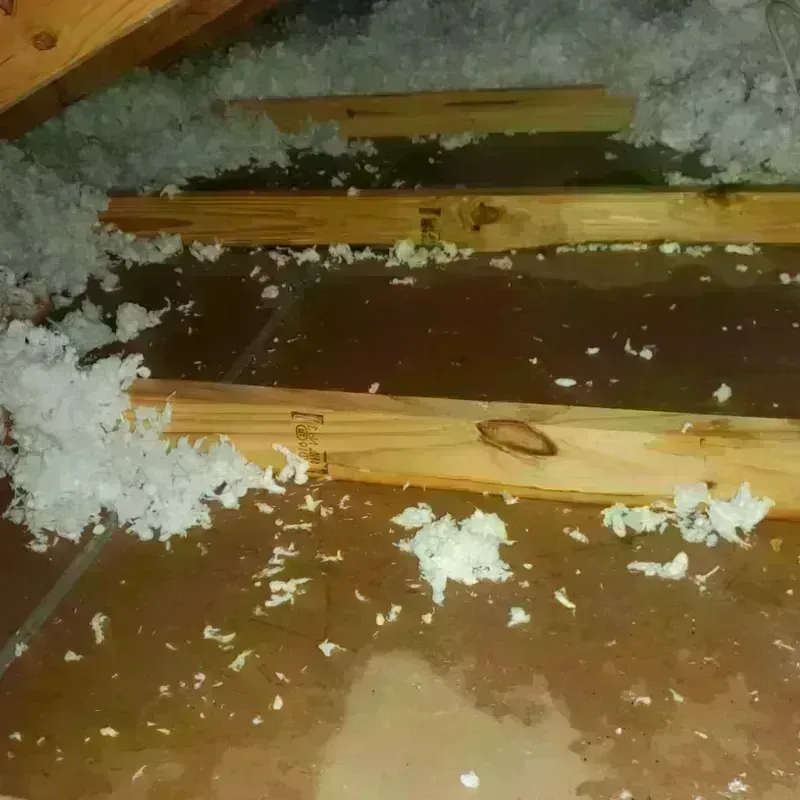 Attic Water Damage in Waterford, WI