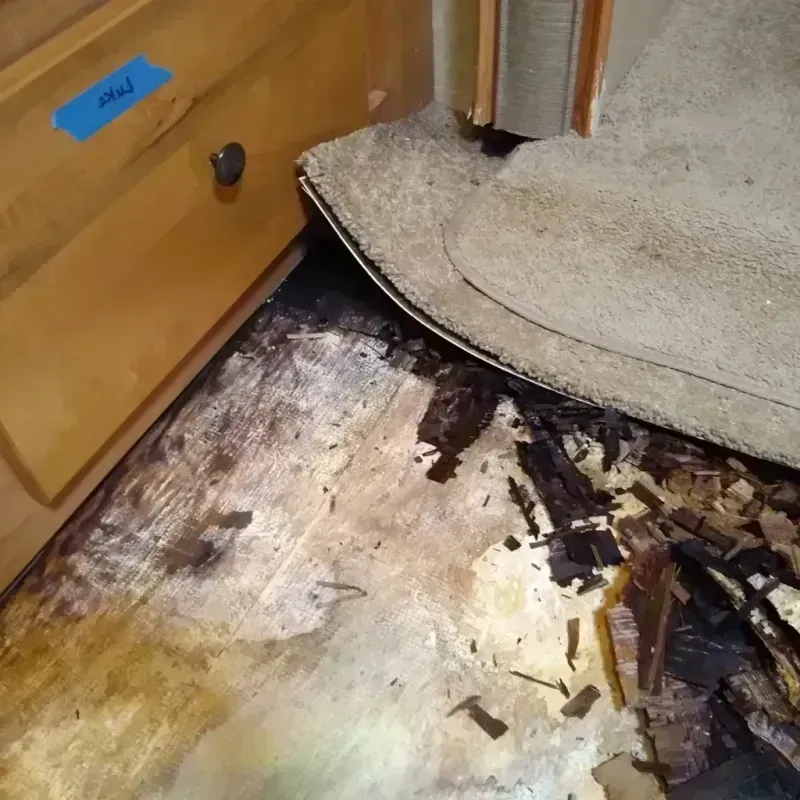 Wood Floor Water Damage in Waterford, WI